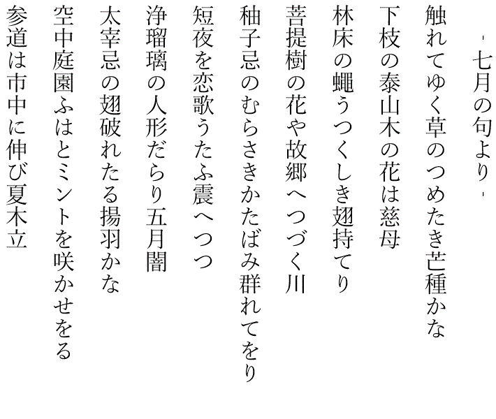 藤田直子の代表句2024年7月