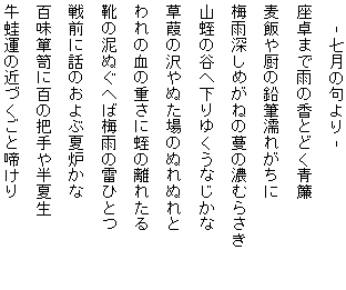 藤田直子の代表句2013年7月